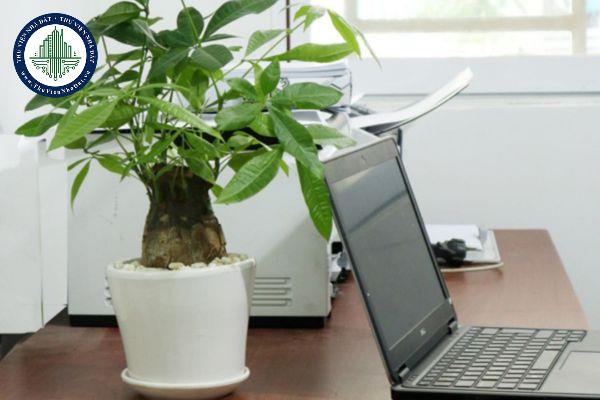 okevipp.com