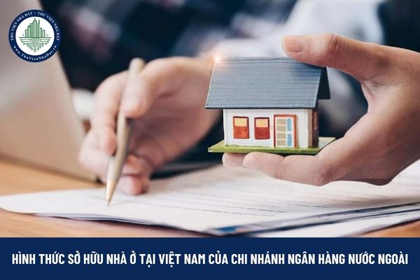 okevipp.com