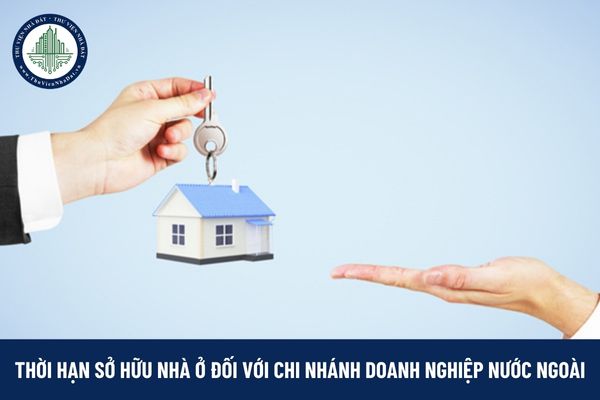okevipp.com