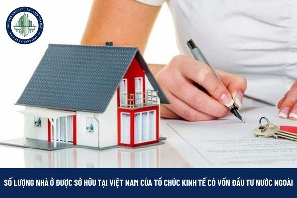 okevipp.com