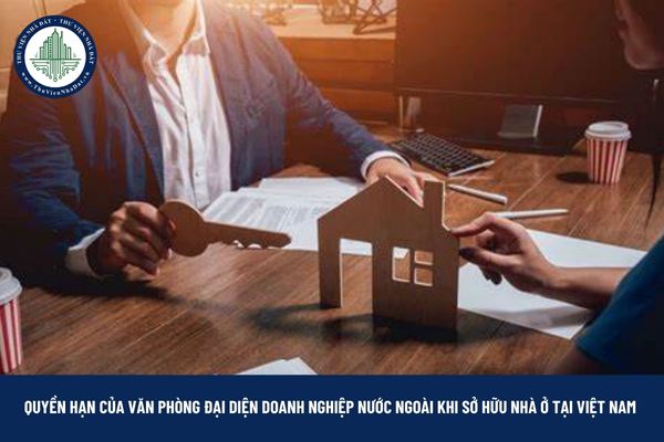 okevipp.com