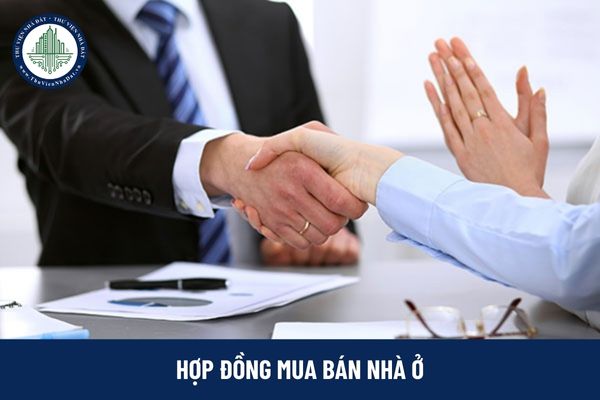 okevipp.com