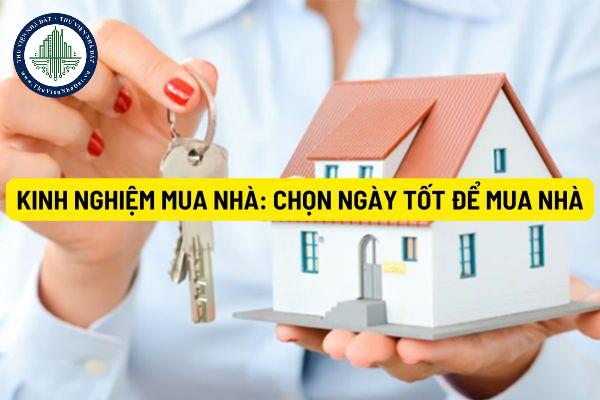 okevipp.com