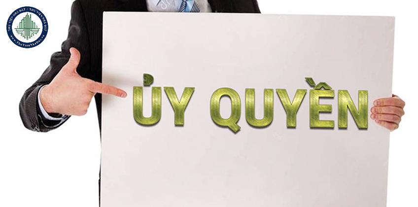 okevipp.com