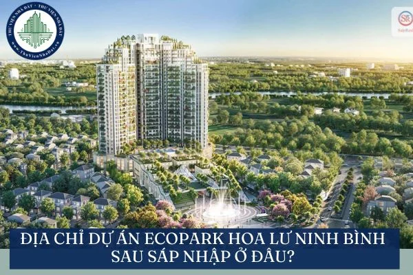 okevipp.com