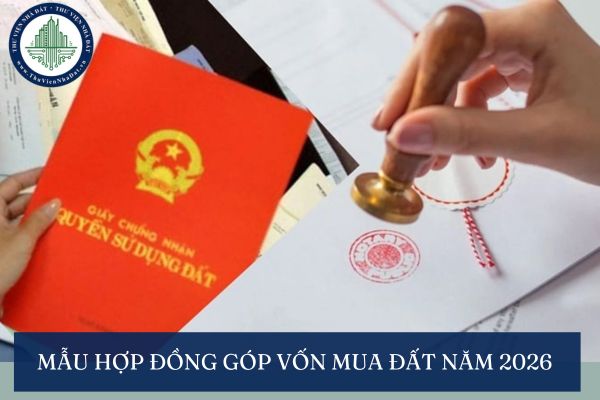 okevipp.com