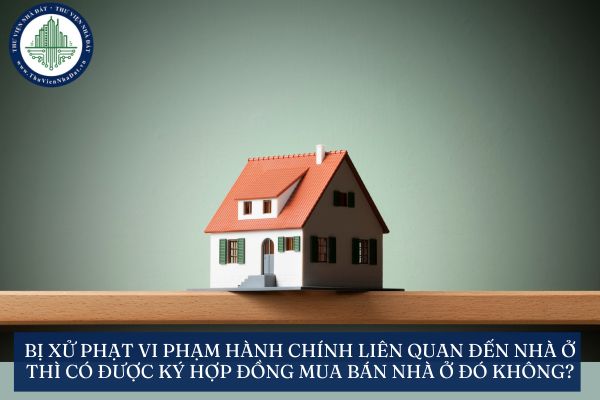 okevipp.com