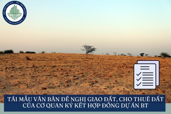 okevipp.com