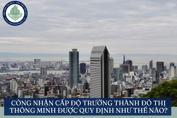 okevipp.com