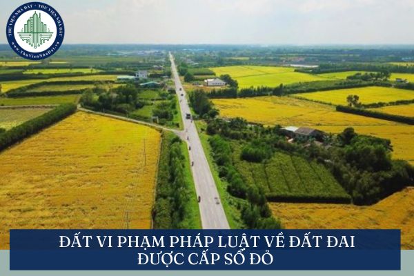 okevipp.com