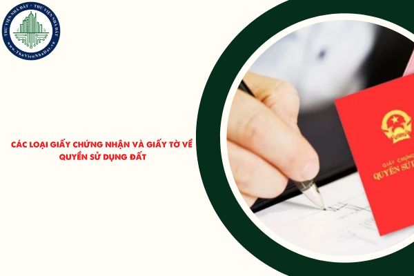 okevipp.com