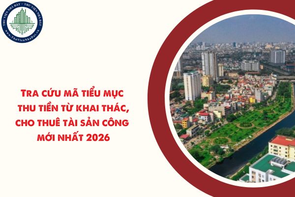 okevipp.com