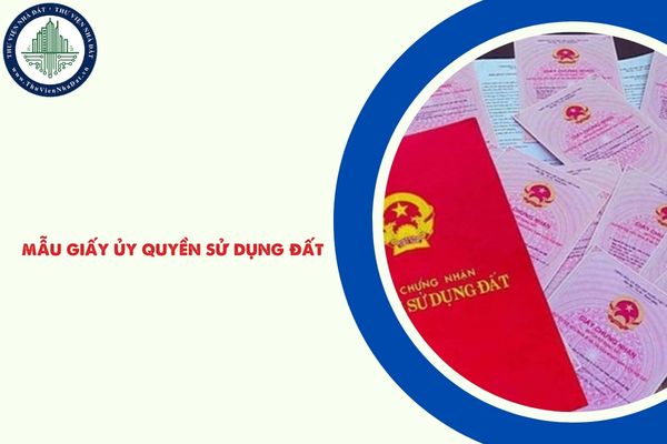 okevipp.com