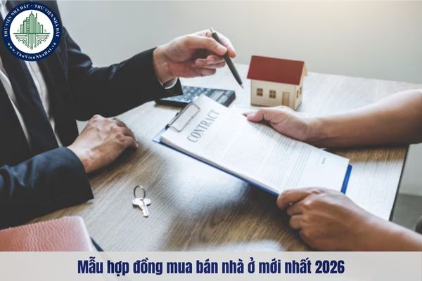 okevipp.com
