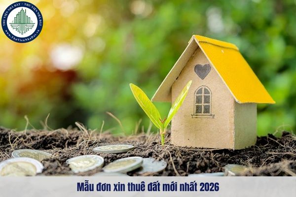 okevipp.com