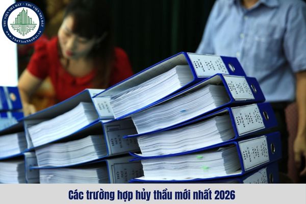 okevipp.com