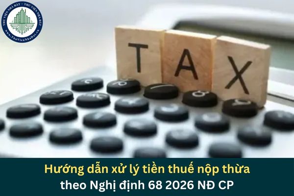 okevipp.com