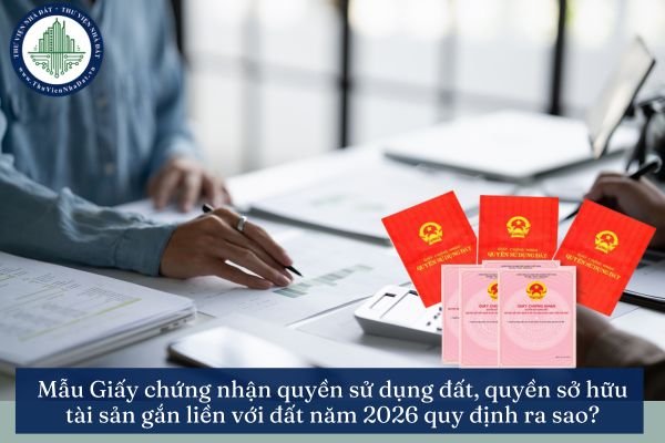 okevipp.com