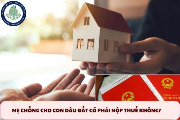 okevipp.com