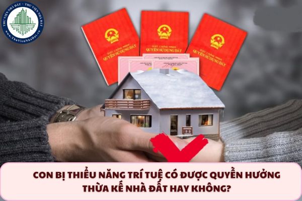 okevipp.com