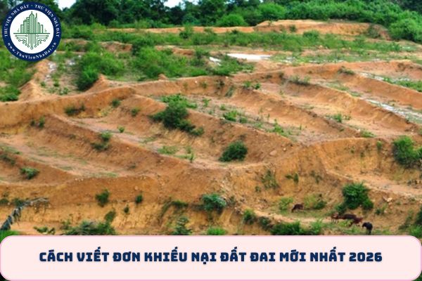 okevipp.com