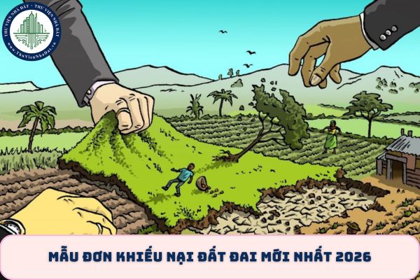 okevipp.com