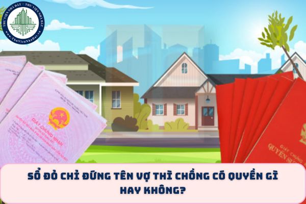 okevipp.com
