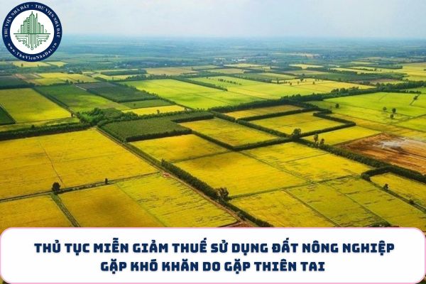 okevipp.com