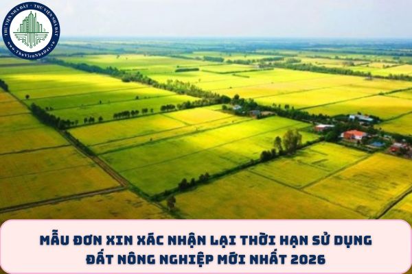 okevipp.com