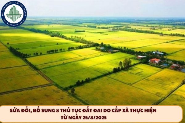 okevipp.com