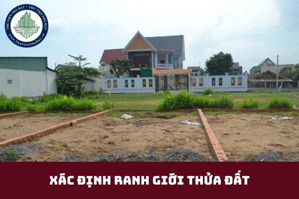 okevipp.com