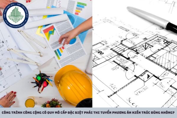 okevipp.com