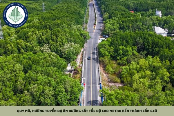 okevipp.com