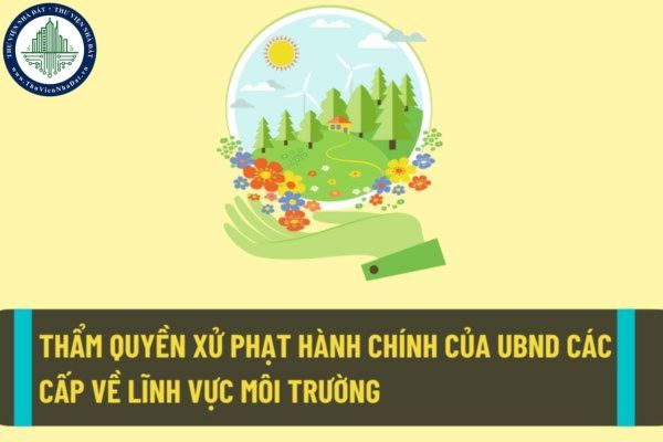 okevipp.com