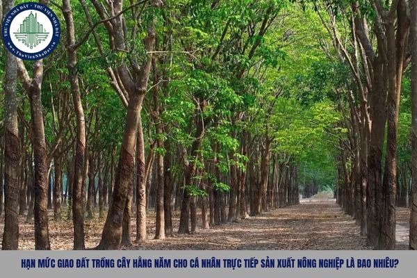 okevipp.com