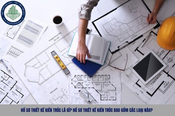 okevipp.com