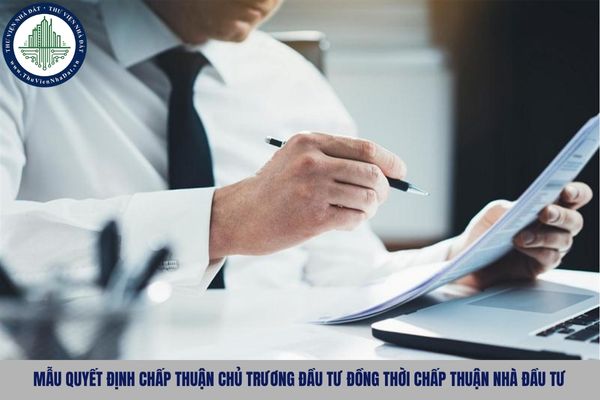 okevipp.com