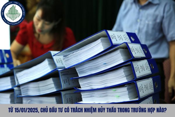 okevipp.com