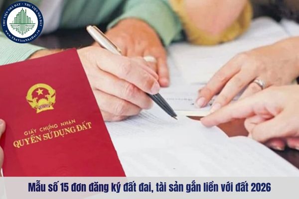okevipp.com