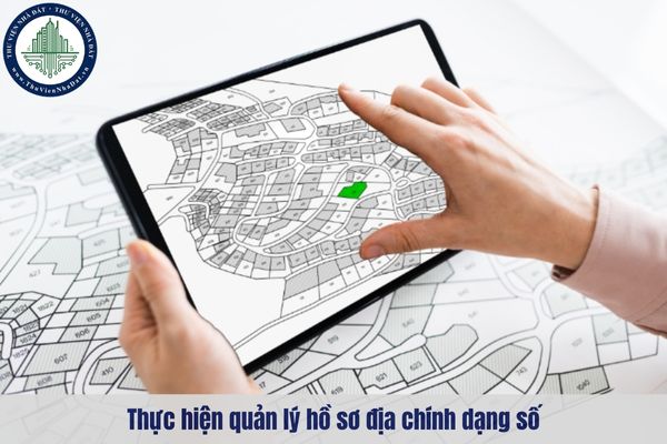 okevipp.com