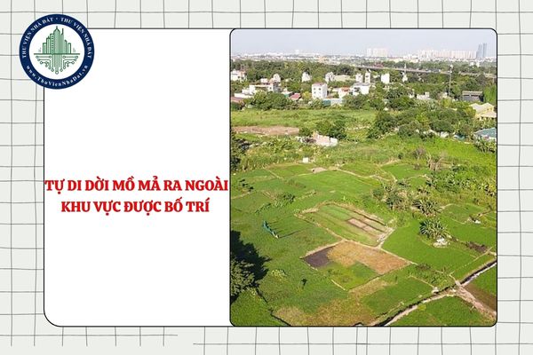 okevipp.com