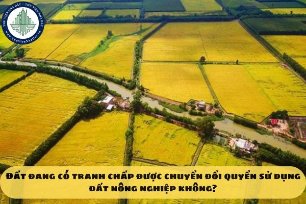 okevipp.com