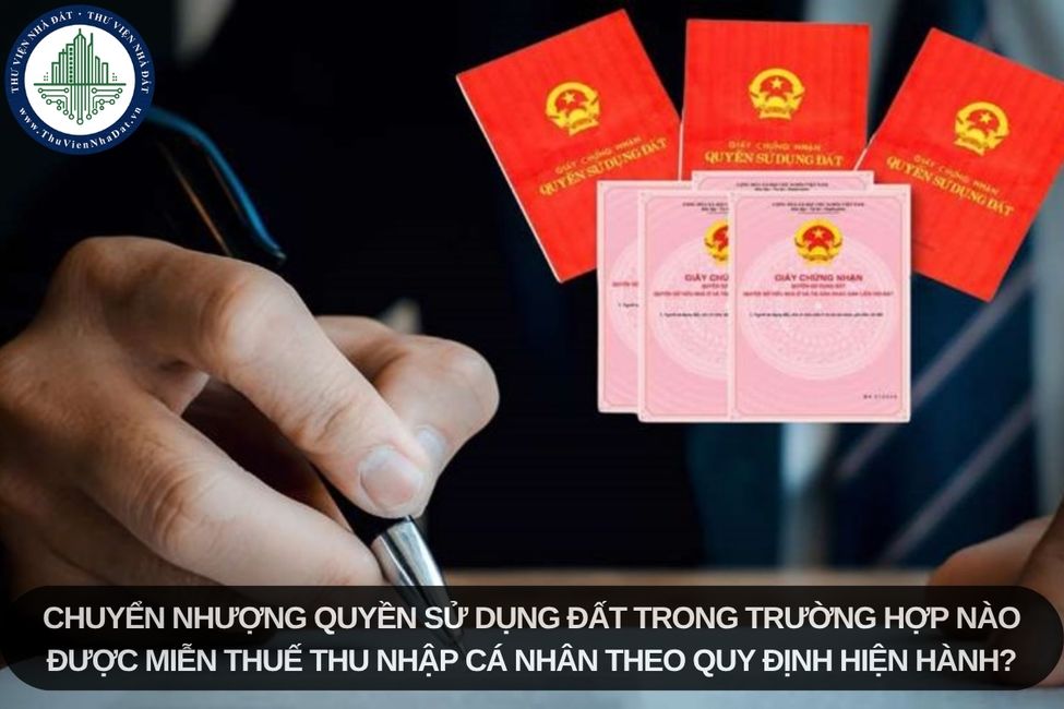 okevipp.com