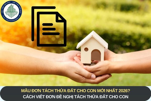 okevipp.com