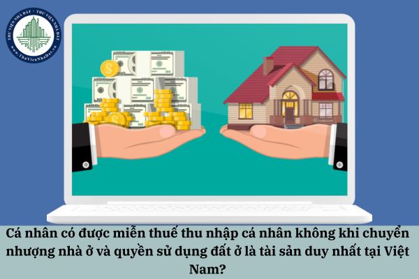 okevipp.com