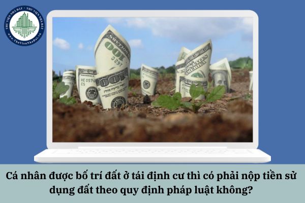 okevipp.com