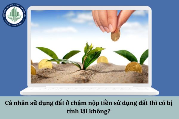 okevipp.com