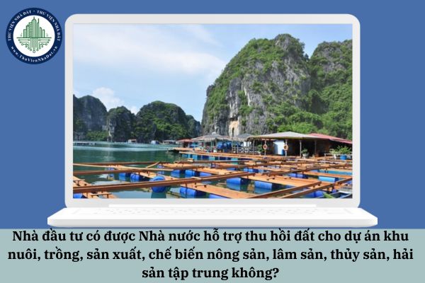 okevipp.com
