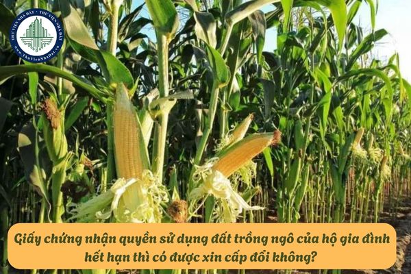 okevipp.com