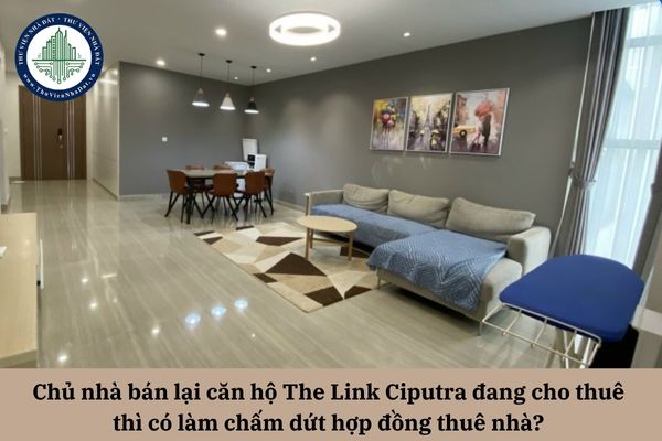 okevipp.com